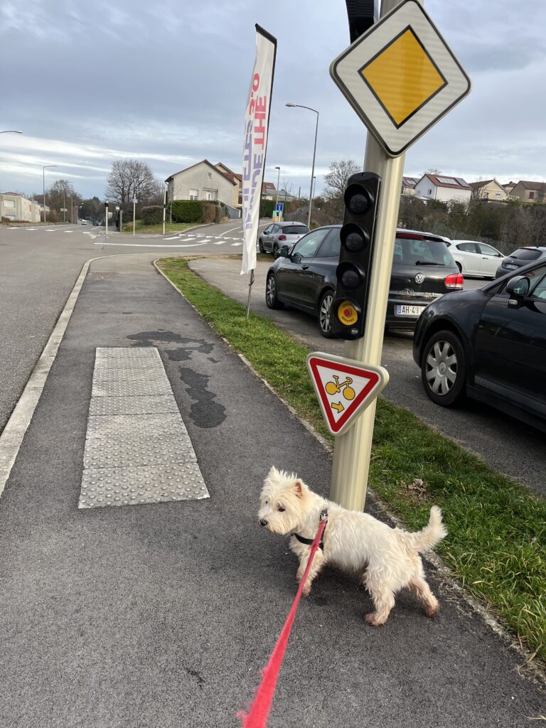 M12 sign under a traffic light. It indicates that people on bikes can treat the light as a yield sign if they’re turning right (as indicated by an arrow pointing right under a bike icon).