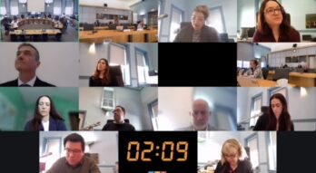 Screen capture of Public Works and Infrastructure Comittee members, including Bike Ottawa delegate