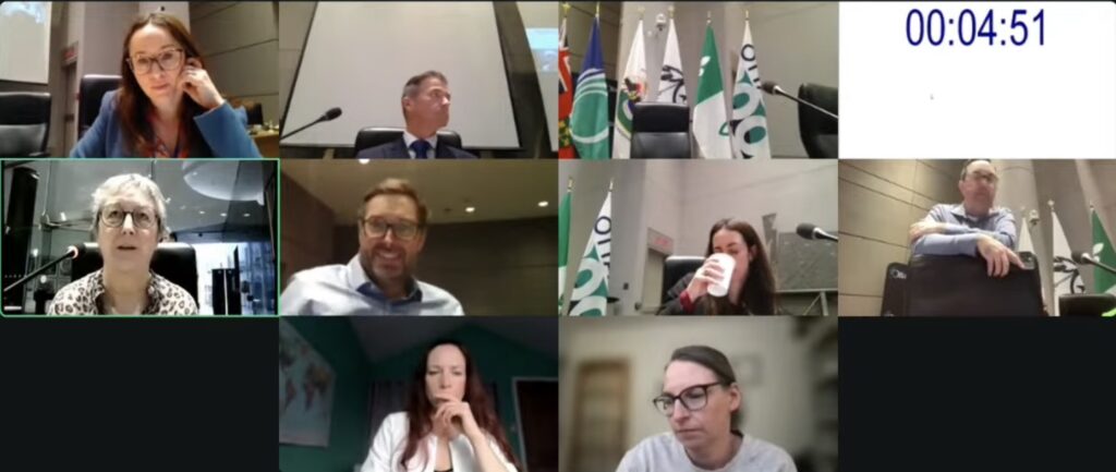 Screen capture of Public Works and Infrastructure Committee meeting